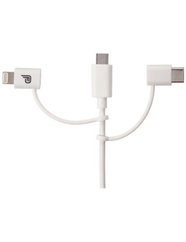 Jeu de câbles de type C 3 en 1 MFI