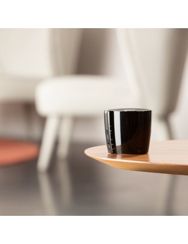 BLARE. Haut-parleur portable avec microphone BLARE