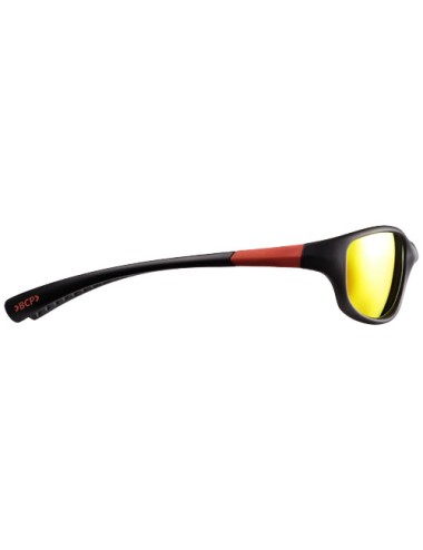 Lunettes de soleil Robson