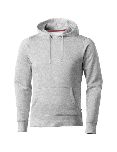 Sweater capuche Alley