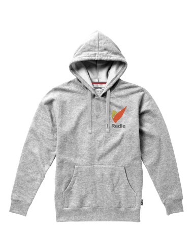 Sweater capuche Alley