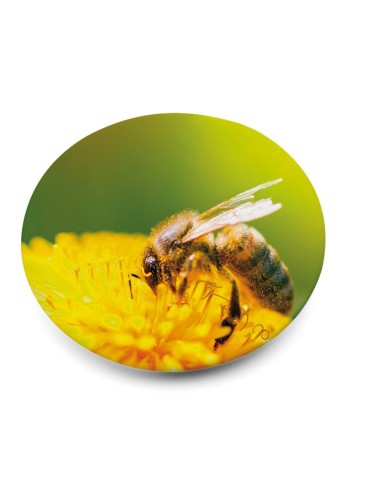Button III. Pin