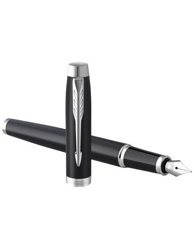Stylo plume IM