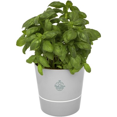 Pot de cuisine simple Herbs