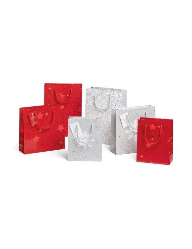 Petit sac en papier couché avec pelliculage brillant (170 g/m²). Avec un carton et une base en carton pour la personnalisation. 