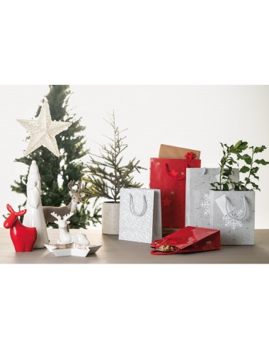 Petit sac en papier couché avec pelliculage brillant (170 g/m²). Avec un carton et une base en carton pour la personnalisation. 