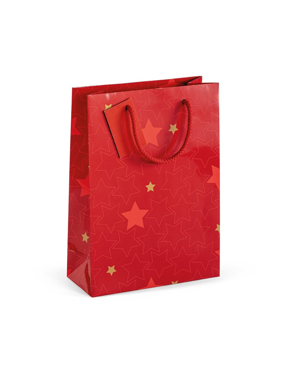 Sac de taille moyenne fabriqué en papier couché avec pelliculage brillant (170 g/m²). Avec une base en carton et un carton pour 