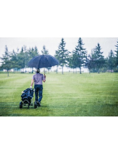 Parapluie de golf en polyester 190T et poignée en bois. Ouverture manuelle. ø1270 x 965 mm
