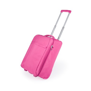 Trolley Pliable Dunant