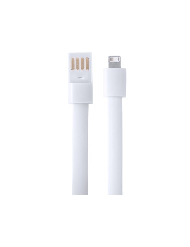 Câble du Chargeur Bracelet Leriam