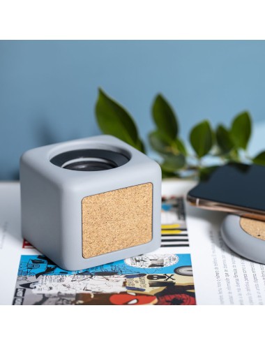 Haut-Parleurs Seynol