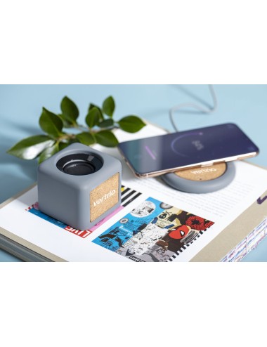 Haut-Parleurs Seynol