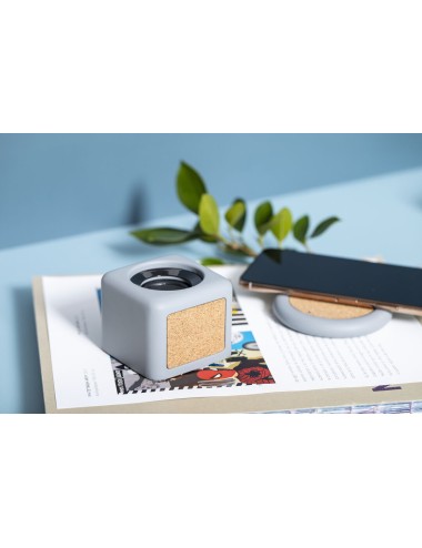 Haut-Parleurs Seynol