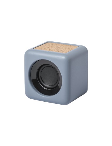 Haut-Parleurs Seynol