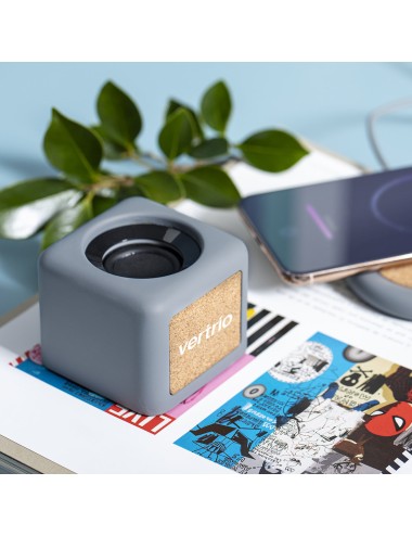 Haut-Parleurs Seynol