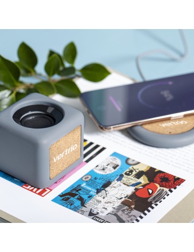 Haut-Parleurs Seynol