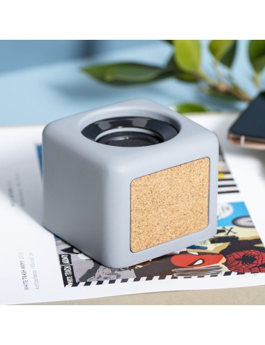 Haut-Parleurs Seynol