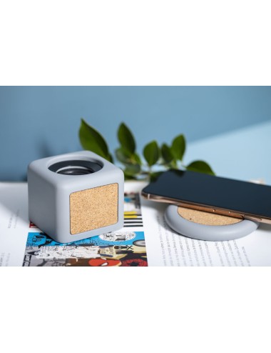 Haut-Parleurs Seynol