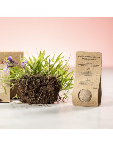 Bonbon Graines Mussox