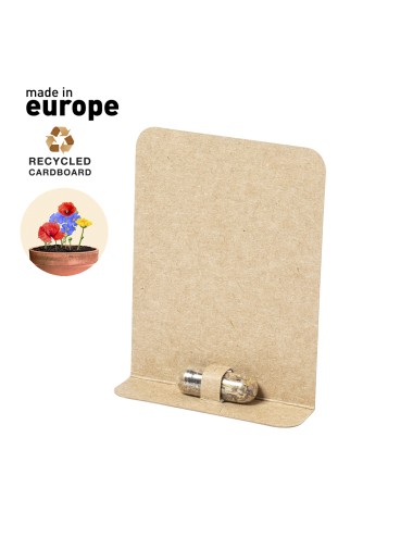 Capsule de Graine Biyok