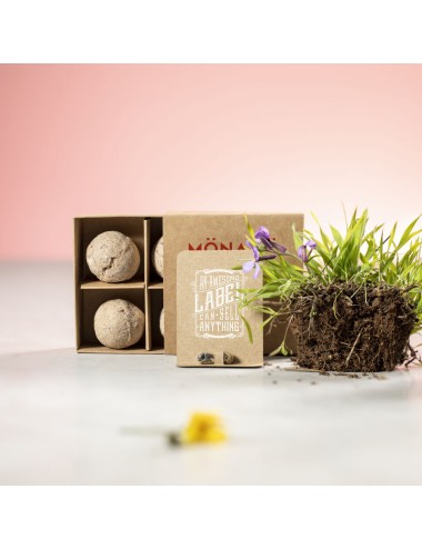 Capsule de Graine Biyok