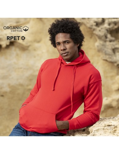 Sweat-Shirt à Capuche Adulte Harnix