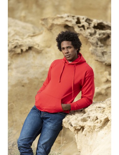 Sweat-Shirt à Capuche Adulte Harnix