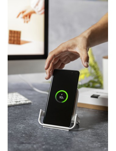 Chargeur Buisson