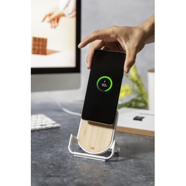 Chargeur Buisson