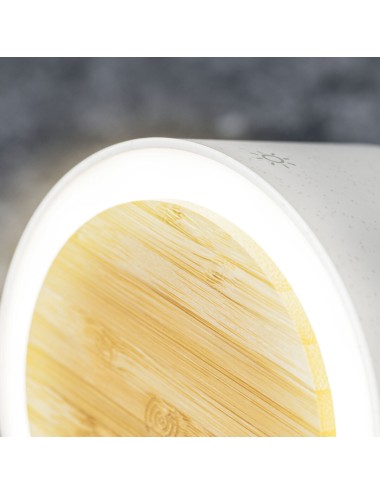 Lampe Multifonction Sadow