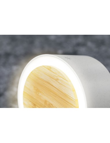 Lampe Multifonction Sadow