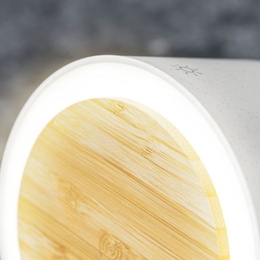 Lampe Multifonction Sadow