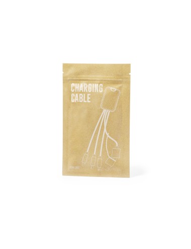 Câble du Chargeur Whoco