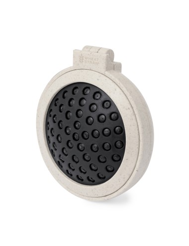 Brosse avec Miroir Flege