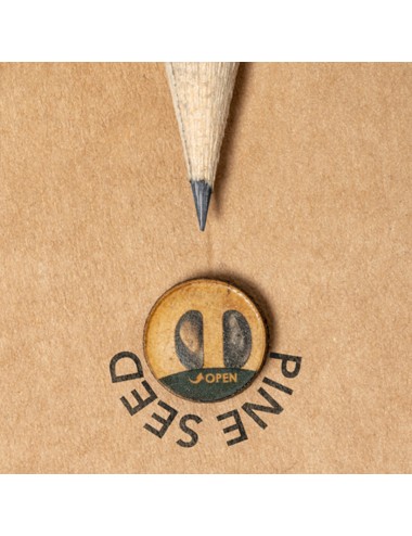 Crayon Ensemencé Etesio