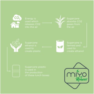 Boite repas MIYO Renew à deux blocs