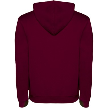 Sweat à capuche Urban pour homme