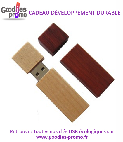 Clé usb développement durable publicitaire